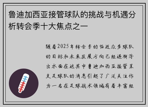 鲁迪加西亚接管球队的挑战与机遇分析转会季十大焦点之一