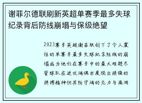 谢菲尔德联刷新英超单赛季最多失球纪录背后防线崩塌与保级绝望 谢菲尔德联刷新英超单赛季最多失球纪录背后防线崩塌与保级绝望